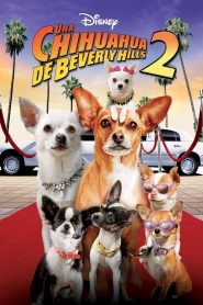 Una chihuahua de Beverly Hills 2 (2011)