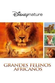 Felinos de África (2010)