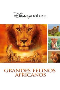 Felinos de África (2010)