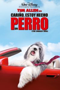 Un papá con pocas pulgas (2006)