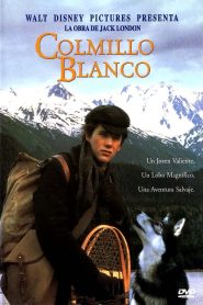 Colmillo blanco (1991)