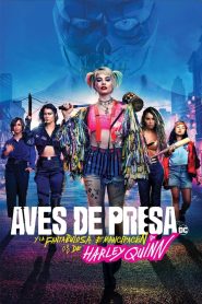 Aves de presa (2020)