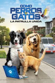 Como perros y gatos 3: Patas unidas (2020)