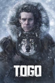Togo: La verdadera historia (2019)