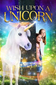 Deseo sobre un unicornio (2020)