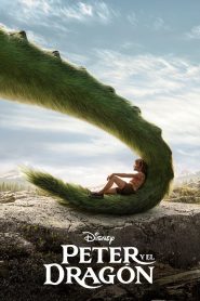 Mi amigo el dragón (2016)
