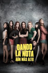 Más notas perfectas (2015)