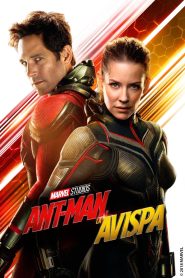 Ant-Man and the Wasp (2018)