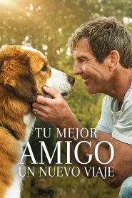 La razón de estar contigo: Un nuevo viaje (2019)