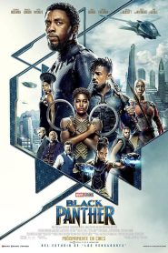 Pantera Negra (2018)