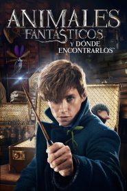 Animales fantásticos y dónde encontrarlos (2016)