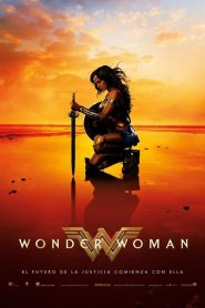 Mujer Maravilla (2017)