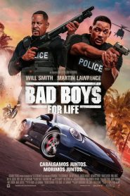 Bad Boys para siempre (2020)