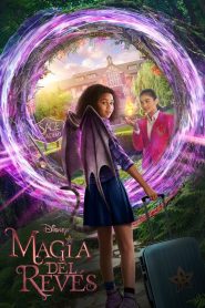 Magia del revés (2020)