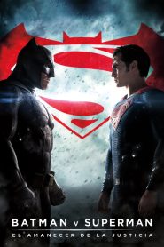 Batman vs Superman: El origen de la justicia (2016)