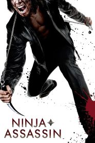Asesino ninja (2009)