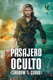 Una sombra en la nube (2020)