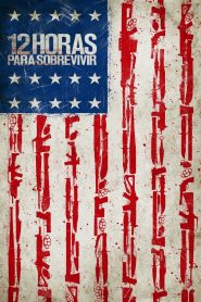 12 horas para sobrevivir (2014)