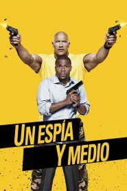 Un espía y medio (2016)