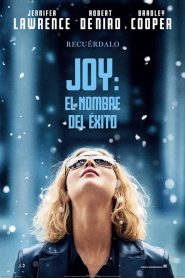 Joy: El nombre del éxito (2015)