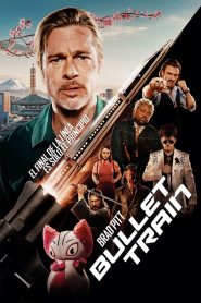 Tren bala (2022)