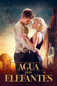 Agua para elefantes (2011)