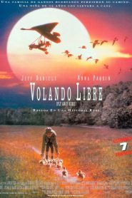 Volando a casa (1996)