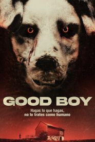 Good Boy (2023)