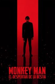 Monkey Man: El despertar de la bestia (2024)