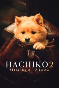 Hachiko 2: Siempre a tu lado (2023)