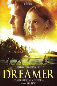 Persiguiendo un sueño (2005)