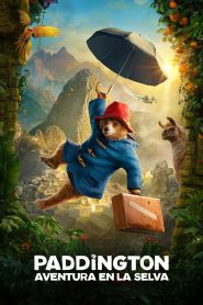 Paddington en Perú (2024)