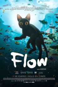 Flow (2024)